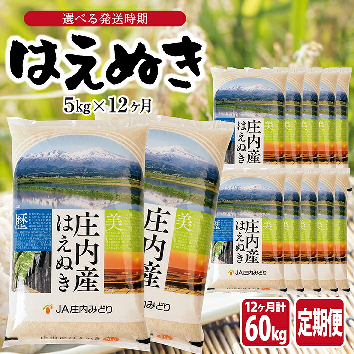 【ふるさと納税】≪12ヶ月定期便≫ はえぬき5kg×12ヶ月連続 計60kg 山形県庄内産 ご希望期間の毎月中旬頃お届け JA 農協 産地直送 精米 白米 庄内米 ブランド米 お米 東北 遊佐町