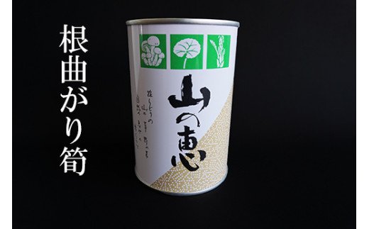 【ふるさと納税】No.0549 たけのこ 缶詰（根曲り筍）2缶セット｜福島県福島市 7,700円
