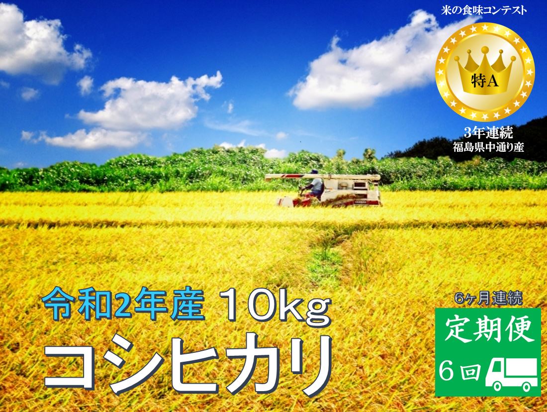 全日本送料無料 ふるさと納税 No 1016 定期便6回 令和2年産 コシヒカリ 10kg 5kg 2 精米 6か月連続お届け 超人気の Lexusoman Com