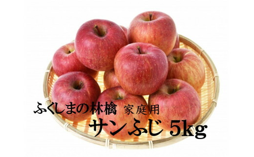 【ふるさと納税】No.2065 りんご 「サンふじ」家庭用 約5kg【2026年１月より発送】先行予約 りんご 福島のりんご  約5kg 訳アリ わけありフルーツ 果物 デザート  福島市 福島県産 1万円 返礼品 お取り寄せ