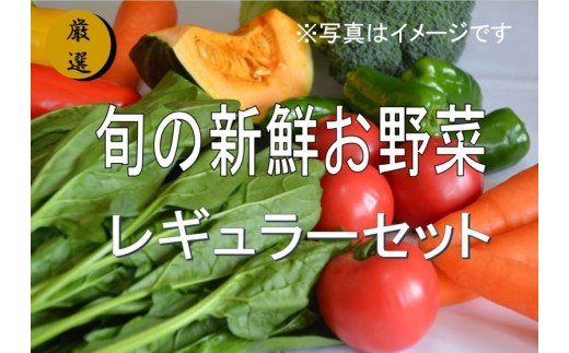 No.1000 大人気!旬の新鮮お野菜 レギュラーセット(詰め合わせ)