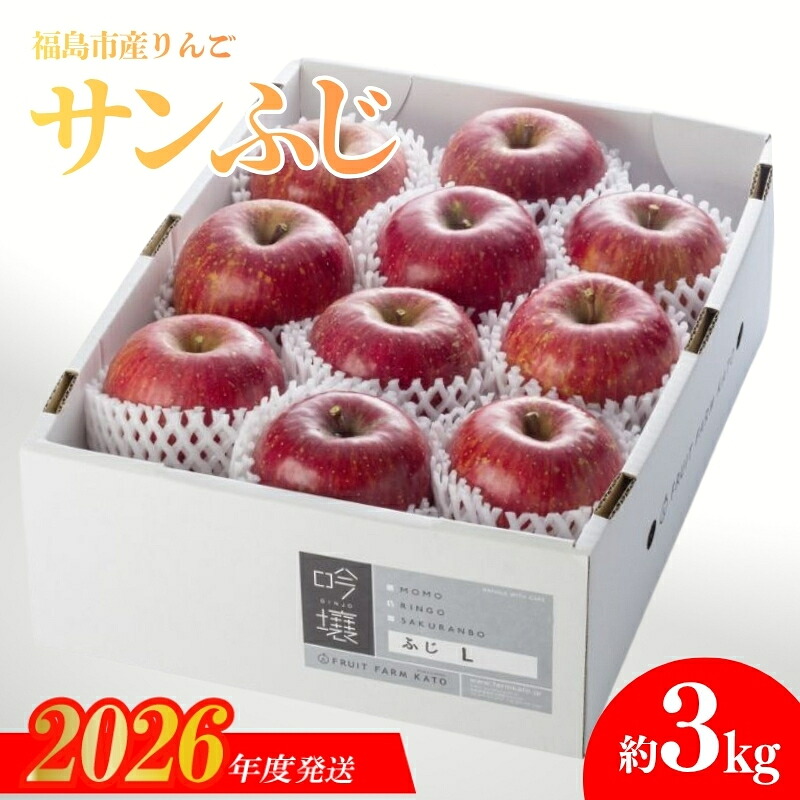 【ふるさと納税】No.0673【限定100箱】 りんご「サンふじ」 約3kg【2026年度発送】