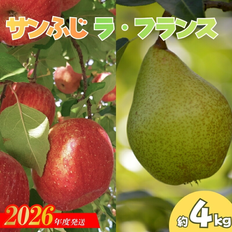 【ふるさと納税】No.0791 りんご「サンふじ・ラフランス詰合せ」約4kg化粧箱入【2026年度発送】