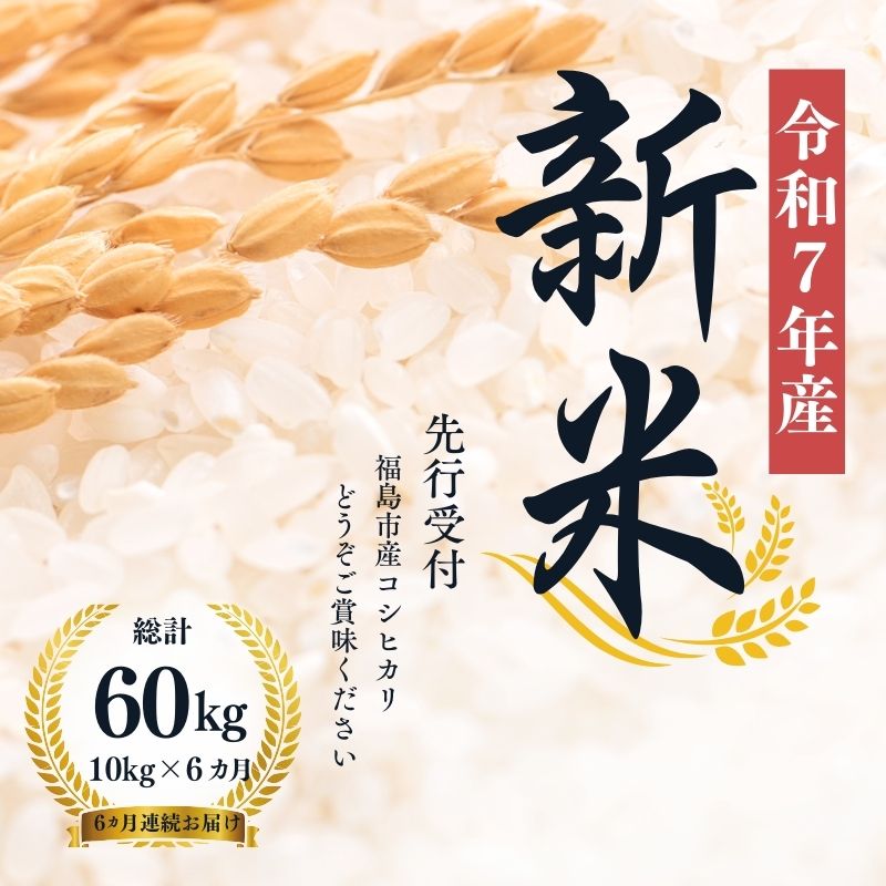 【ふるさと納税】No.1498【令和７年産新米　先行予約】大文字屋米穀店【定期便6回】コシヒカリ 10kg（5kg×2）精米 （6か月連続お届け）