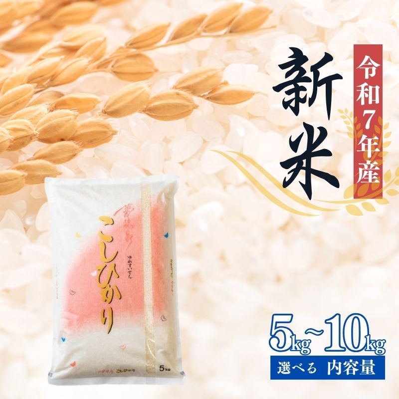 楽天市場】【ふるさと納税】No.2760＼1000円ポッキリ／ももりんクリア