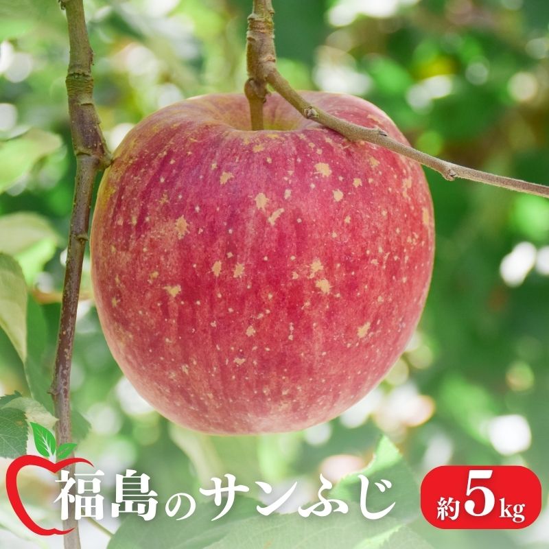 【ふるさと納税】No.1472 りんご「サンふじ」約5kg【2025年度発送】