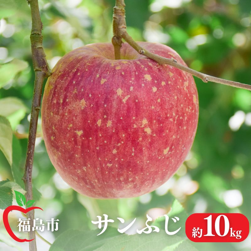 【ふるさと納税】No.1473 りんご「サンふじ」約10kg【2025年度発送】