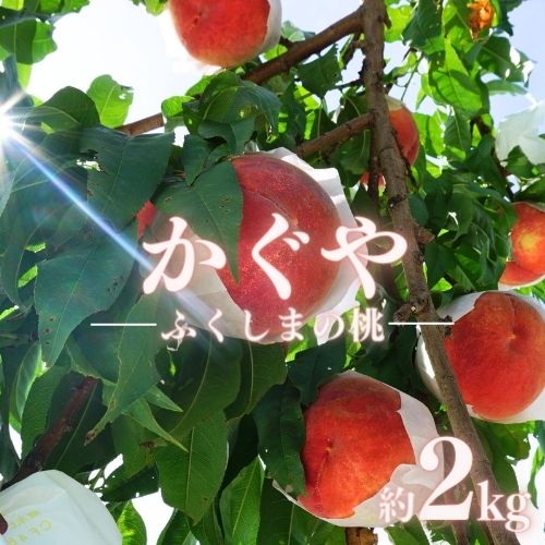 【ふるさと納税】No.1514福島のもも「かぐや」約2kg【2025年発送】