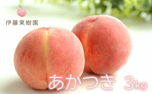 【ふるさと納税】No.1975 もも「あかつき」約3kg【2025年発送】