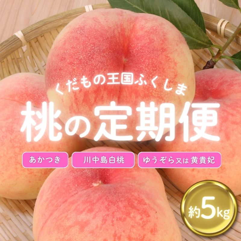 【ふるさと納税】No.2027ふくしまの桃 約5kg 定期便 3回【2025年 先行受付】 もも モモ あかつき 川中島白桃 くだもの 果物  人気 返礼品  お取り寄せ 福島市 福島県産 6万円台