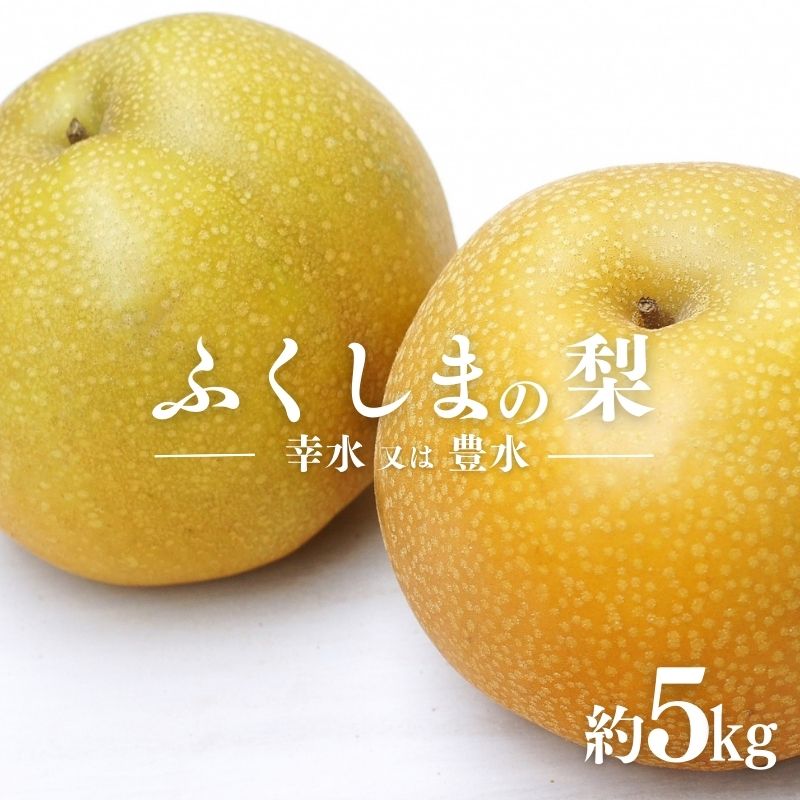 【ふるさと納税】No.2043ふくしまの梨　約５kg（幸水または豊水） 【2025年 先行受付】なし ナシ フルーツ くだもの 果物 福島市 人気 返礼品  お取り寄せ 福島県産 1万円台