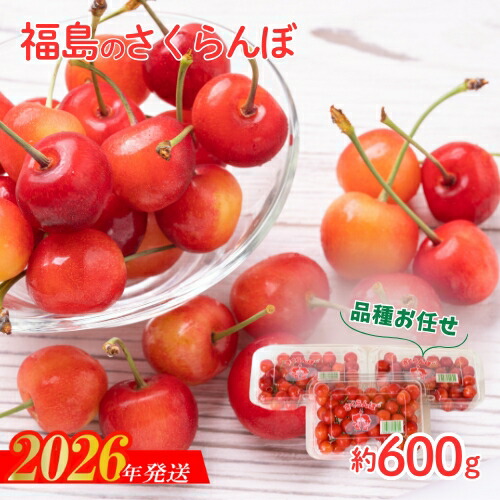 【ふるさと納税】No.2094さくらんぼ 品種お任せ 秀　L玉　約600ｇ（200ｇ×3パック）【2026年発送 先行予約】