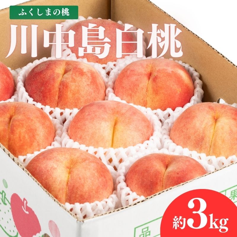 【ふるさと納税】No.2153福島のもも　川中島白桃　約3kg【2025年発送】桃 モモ フルーツ くだもの 果物 福島市 人気 返礼品  お取り寄せ 福島県産 1万円台