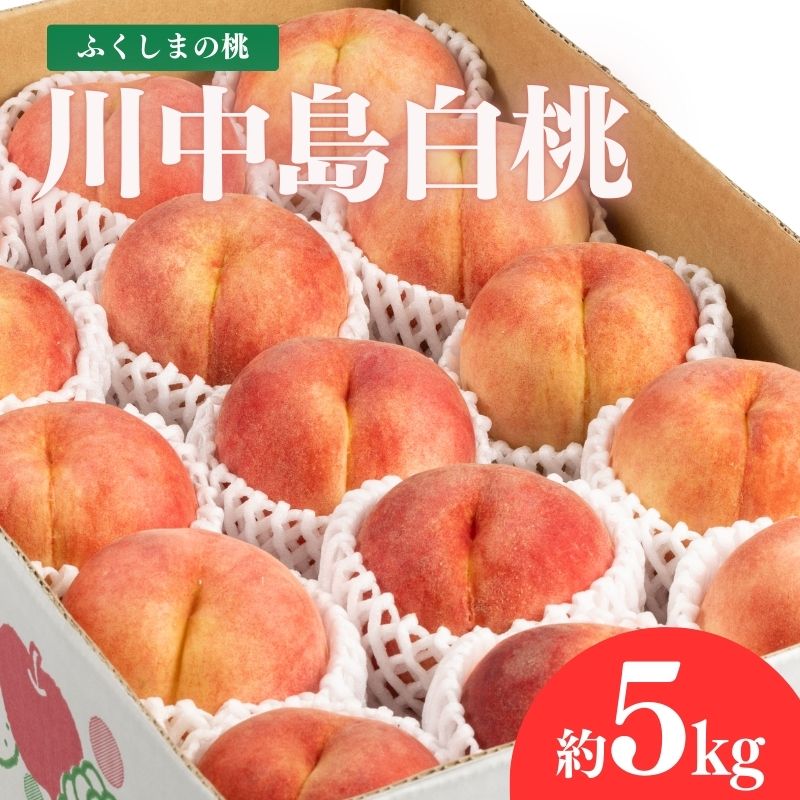 【ふるさと納税】No.2154福島のもも　川中島白桃　約5kg【2025年発送】