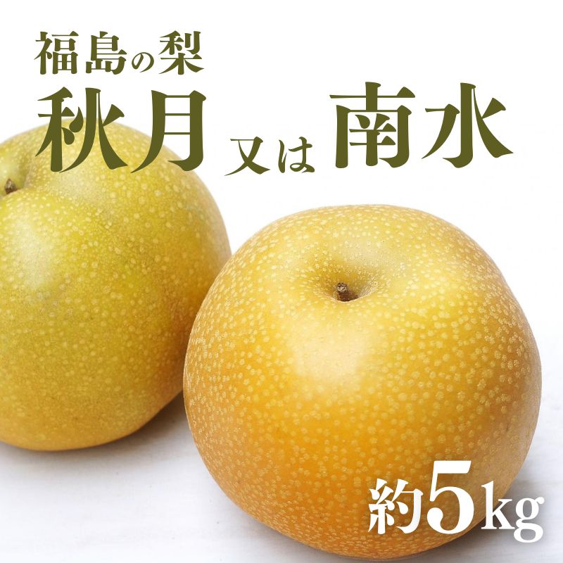 【ふるさと納税】No.2186福島の梨　秋月または南水　約5kg【2025年発送分】先行予約 梨 福島の梨  約5kg フルーツ 果物 デザート 旬 なし ナシ  福島市 福島県産 2万円以下 返礼品 お取り寄せ