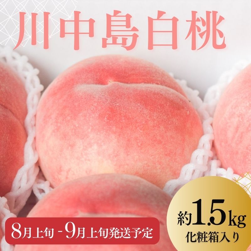 【ふるさと納税】No.2219 もも「川中島白桃」約1.5kg 化粧箱入【2025年発送】