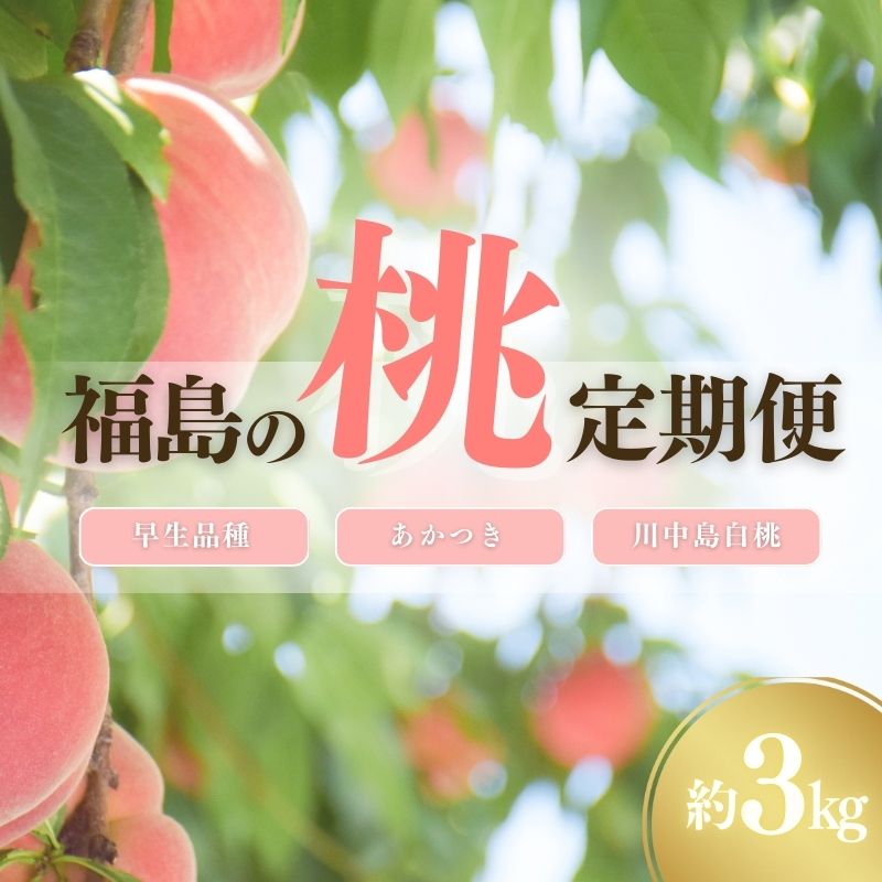 【ふるさと納税】No.2222福島の桃３種定期便 各3kg【2025年発送】