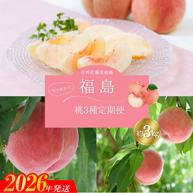 【ふるさと納税】No.2222中野/佐藤果樹園 福島の桃３種定期便 各3kg【2026年発送 先行予約】