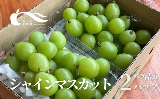 【ふるさと納税】No.2329シャインマスカット粒詰2パック入　約1kg【2025年発送　先行予約】