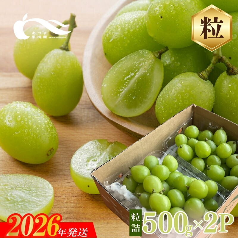【ふるさと納税】No.2329シャインマスカット粒詰2パック入 約1kg【2026年発送】