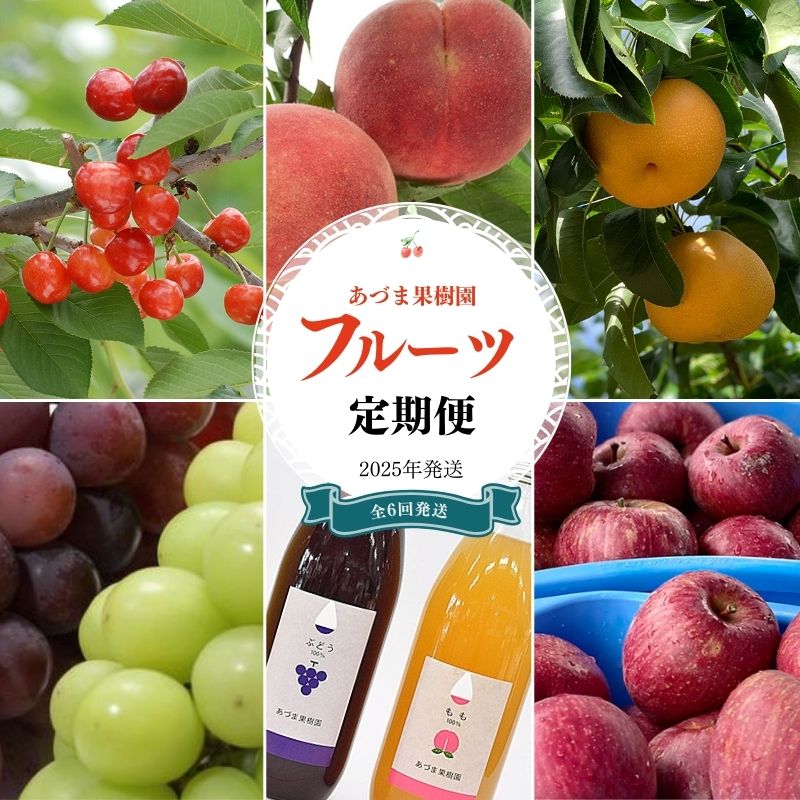 【ふるさと納税】No.2337【全6回】あづま果樹園くだもの定期便【2025年発送　先行予約】
