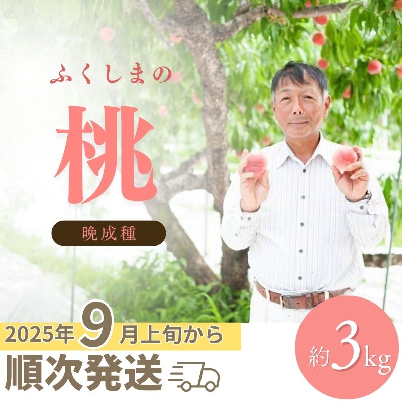【ふるさと納税】No.2408福島 桃　晩成種約3kg【2025年発送】