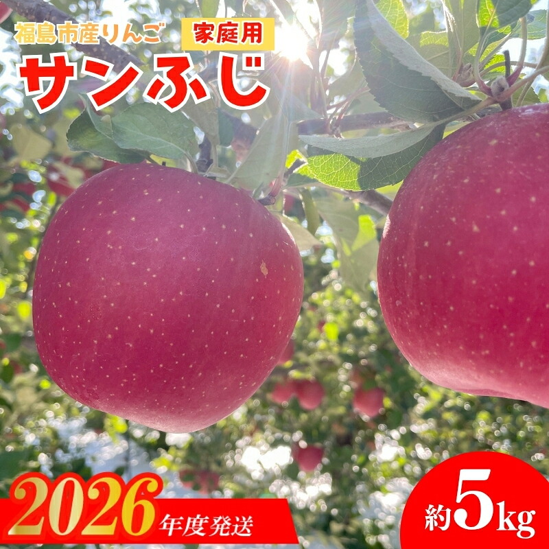 【ふるさと納税】No.2437 訳あり 葉とらずりんご サンふじ ご家庭用 約5kg【2026年度発送】｜福島県福島市