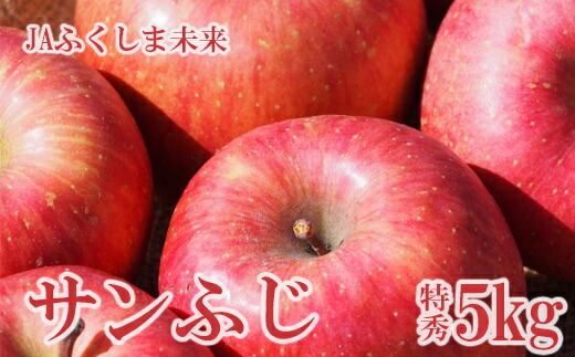 【ふるさと納税】No.2509 りんご「サンふじ」 約5kg 特秀14～18玉【2025年度発送】