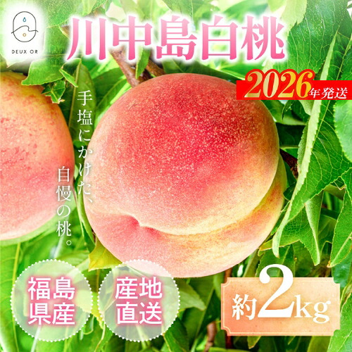 【ふるさと納税】No.2671もも「川中島白桃」約2kg【2026年発送 先行予約】|福島県福島市