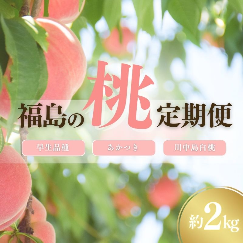 【ふるさと納税】No.2967中野/佐藤果樹園 福島の桃３種定期便 各約2kg【2025年発送】