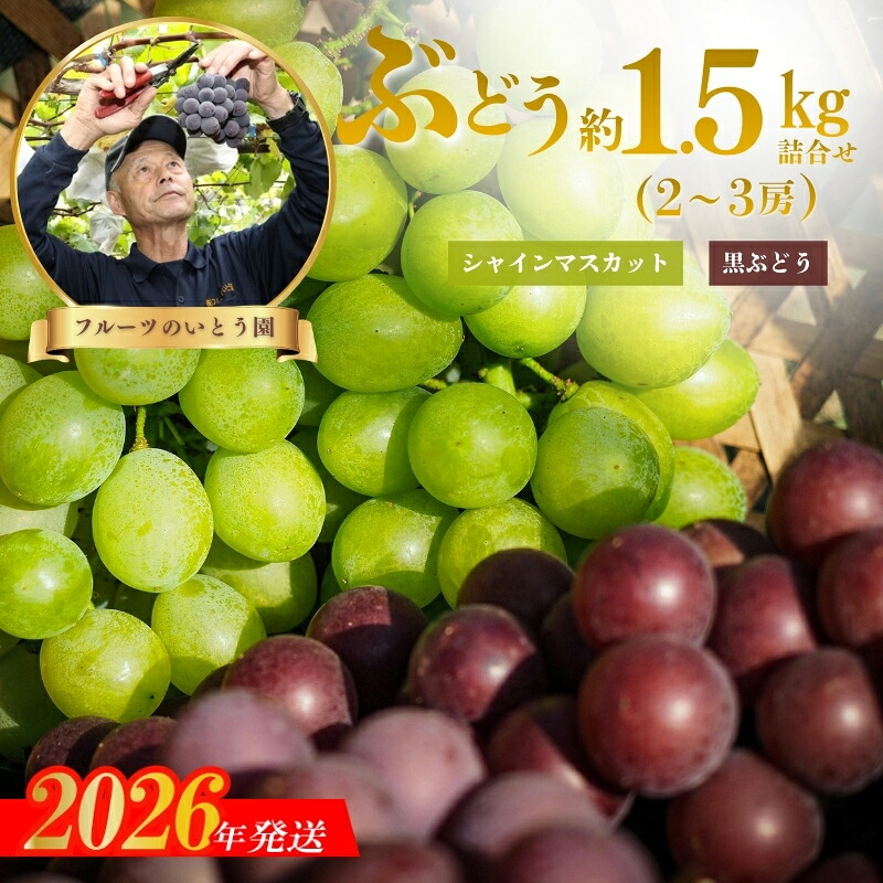 【ふるさと納税】No.3309 ぶどうセット約1.5kg　シャインマスカット＆黒葡萄（巨峰.ﾋﾟｵ－ﾈ）