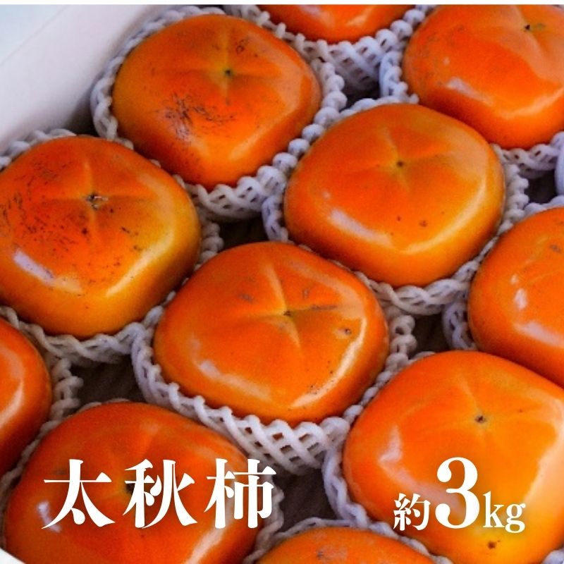 【ふるさと納税】No.2859 太秋柿　約3kg【2025年発送】