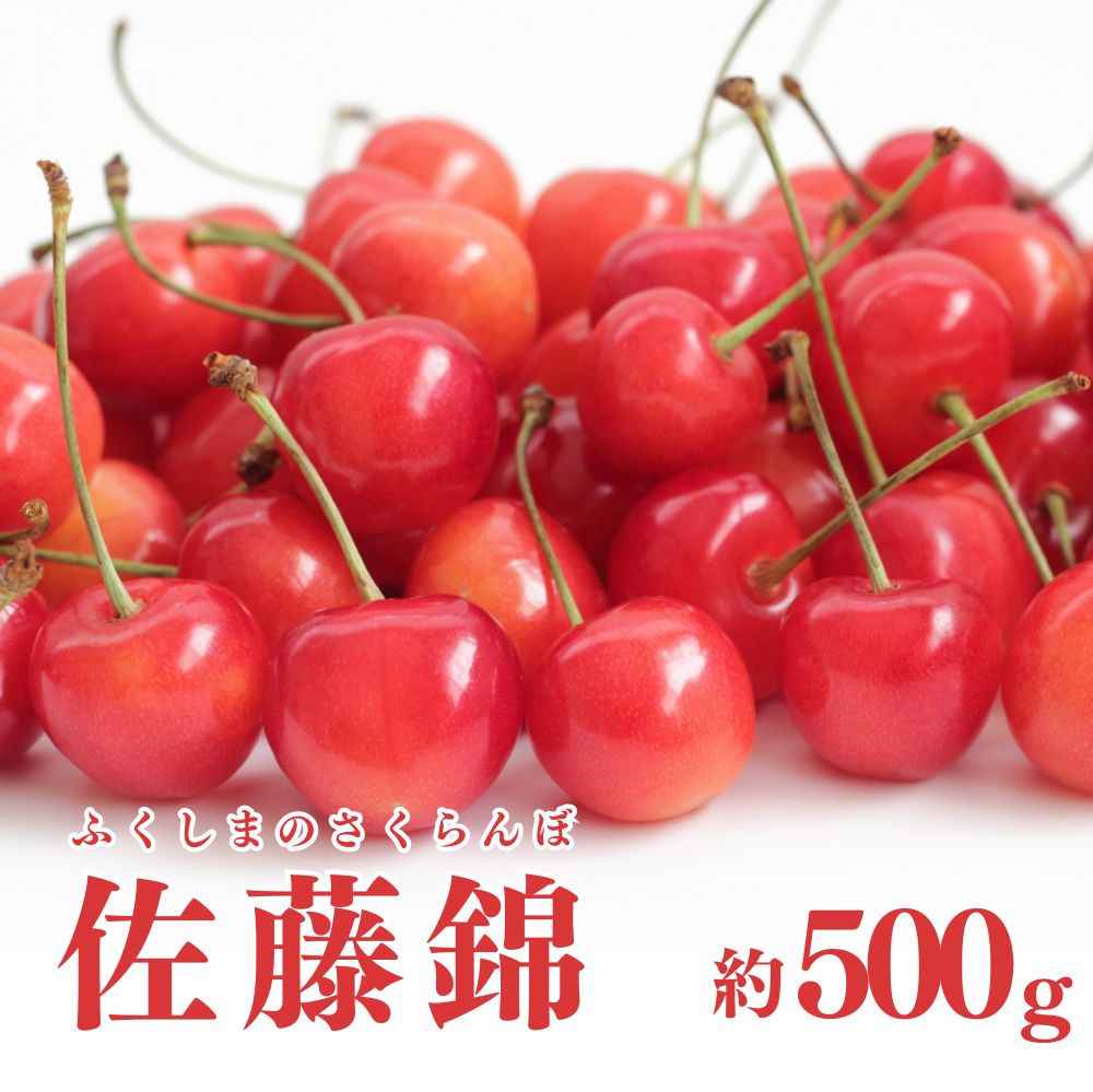 サクランボ：紅きらり4～5号ポット の通販 | 園芸ネット