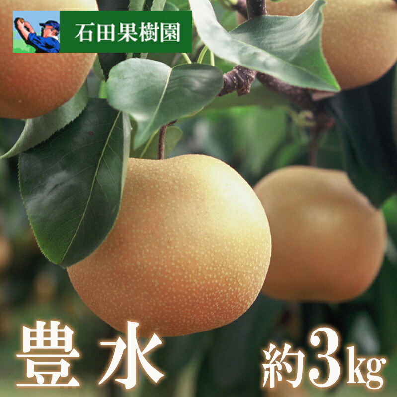 【ふるさと納税】No.2737梨　豊水　3kg【2025年発送　先行予約】