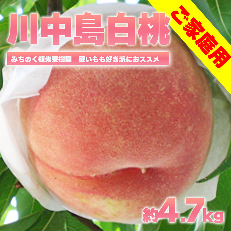 【ふるさと納税】No.2350もも「川中島白桃」ご家庭用　約4.7kg【2025年発送】