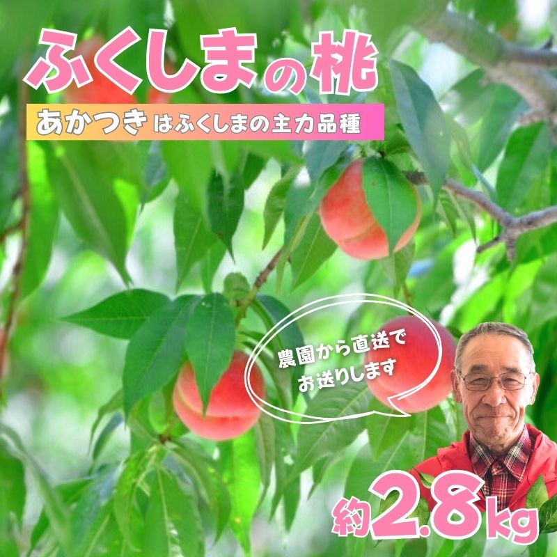 【ふるさと納税】No.2896【限定150箱】ふくしまのもも　あかつき 約2.8kg【2025年発送】