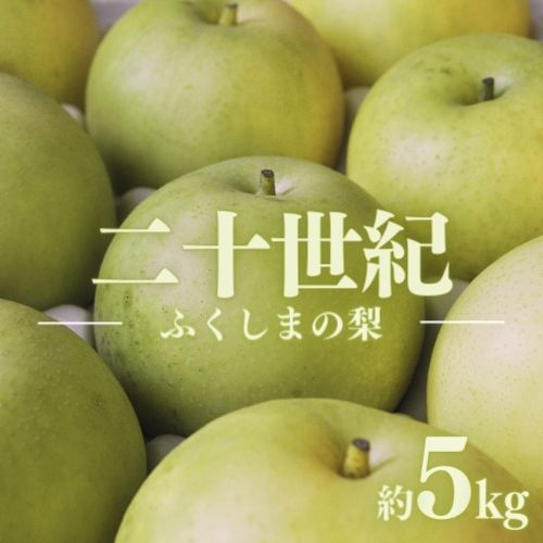 【ふるさと納税】No.1728梨　なし　二十世紀　約5kg　【2025年発送】