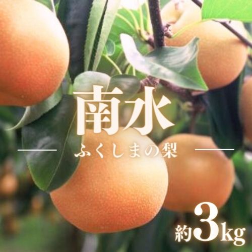 【ふるさと納税】No.1724梨　なし　南水 約3kg　【2025年発送】