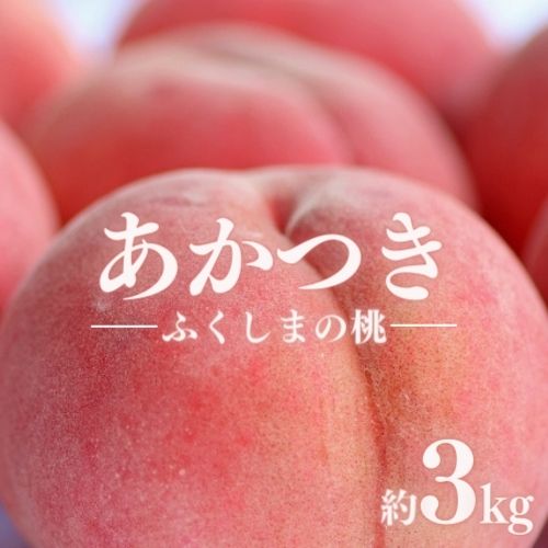 【ふるさと納税】No.1216 もも「あかつき」約3kg【2025年発送】
