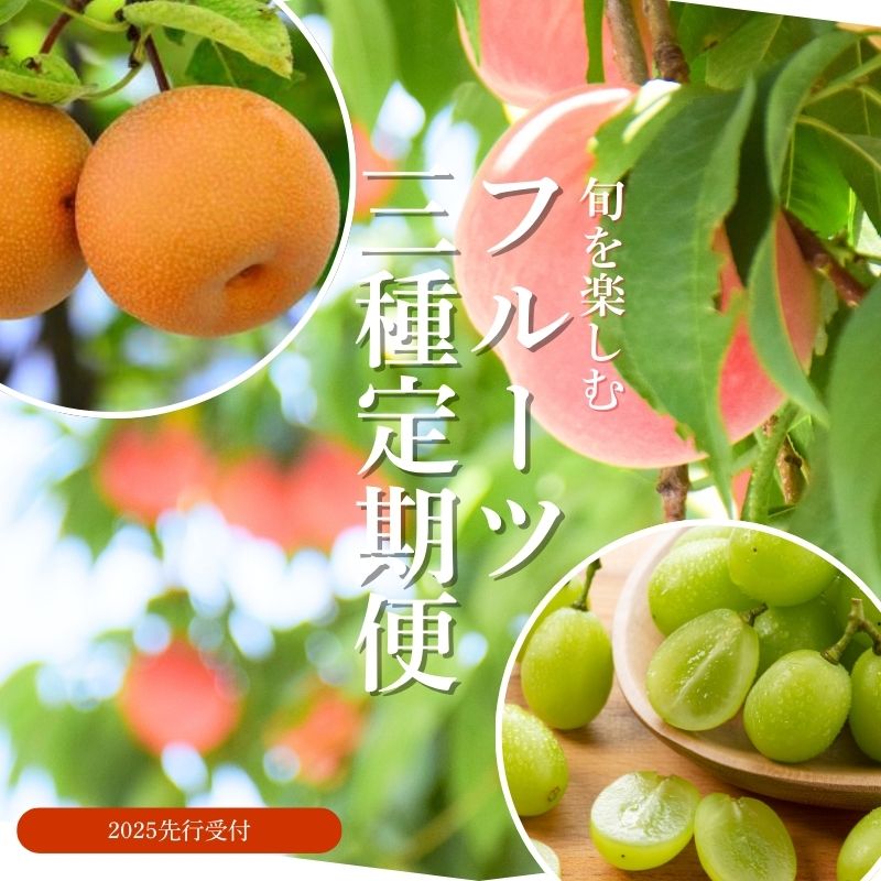 【ふるさと納税】No.2528 【2025年発送分】先行予約 もも モモ 葡萄 シャインマスカット ブドウ なし ナシ くだもの 果物 福島市 人気 返礼品  お取り寄せ 福島県産 4万円台