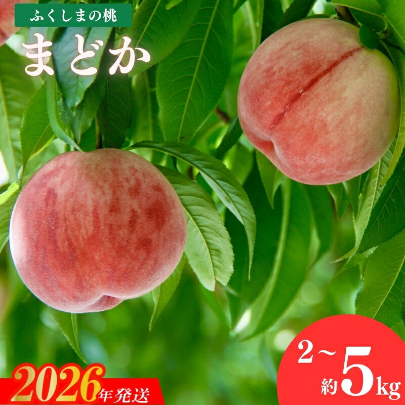 【ふるさと納税】果樹園きつない 福島のもも「まどか」選べる 内容量 約2kg 約3kg 約5kg【2026年発送 先行予約】|福島県福島市