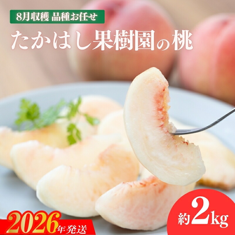 【ふるさと納税】No.2531たかはし果樹園の桃　8月収穫 福島市産 白桃 品種 おまかせ (白鳳、あかつき、まどか、よさこい桃、川中島白桃、ゆうぞら ) 約2kg【2026年発送 先行予約】｜福島県福島市