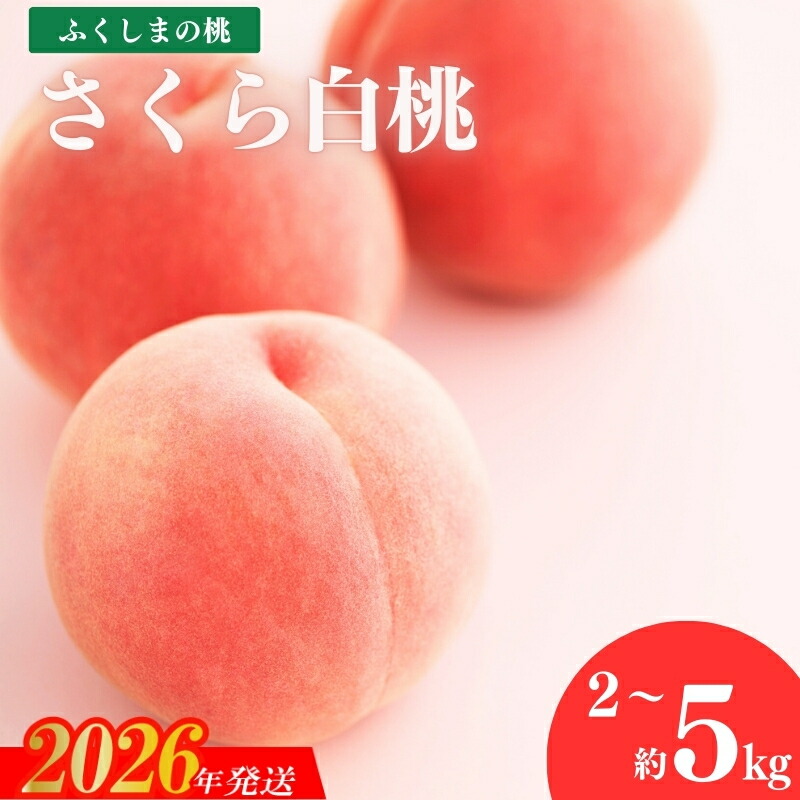 【ふるさと納税】果樹園きつない 福島のもも「さくら白桃」選べる 内容量 約2kg 約3kg 約5kg≪9月中旬から2026年9月下旬発送予定≫果物 くだもの フルーツ 白桃 お取り寄せ 産地直送 農家直送 福島県 福島市【2026年発送 先行予約】｜福島県福島市