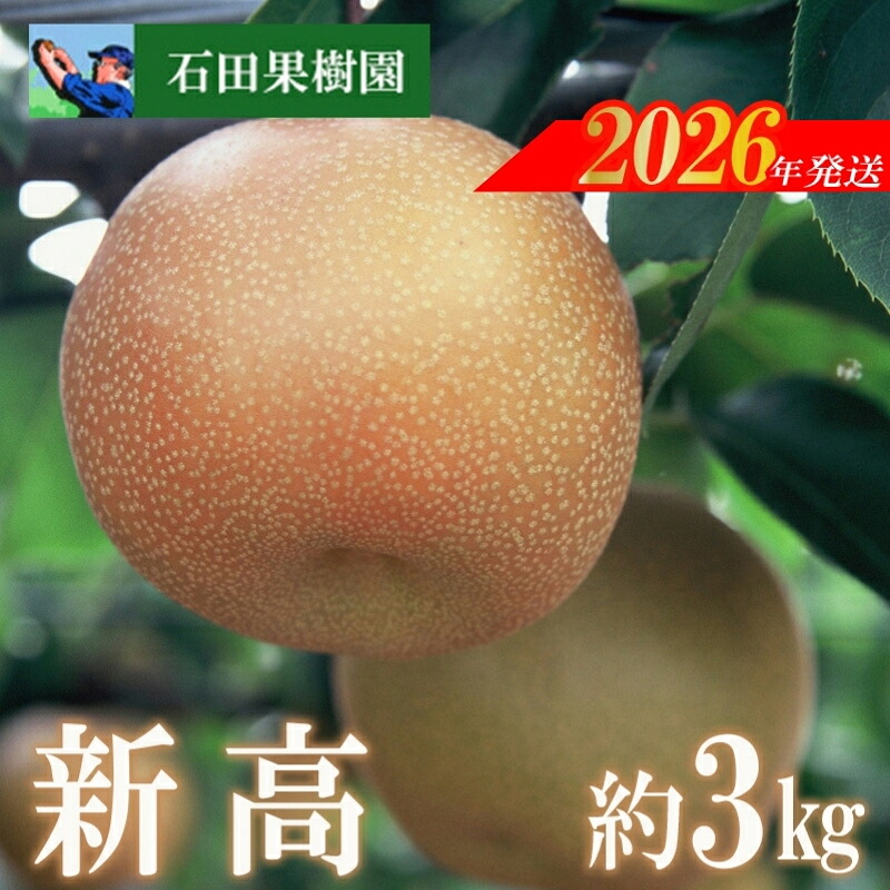 【ふるさと納税】No.2738梨　新高　3kg【2026年発送　先行予約】