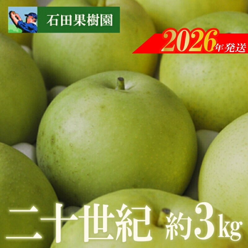 【ふるさと納税】No.2739梨　二十世紀　3kg【2026年発送　先行予約】