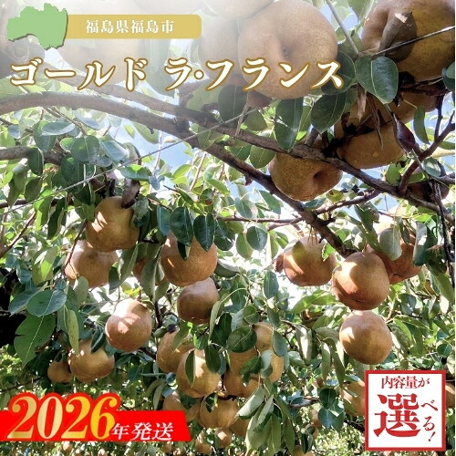 【ふるさと納税】ヤマ孝紺野果樹園 ゴールド ラフランス 約2kg 約3kg【2026年発送】