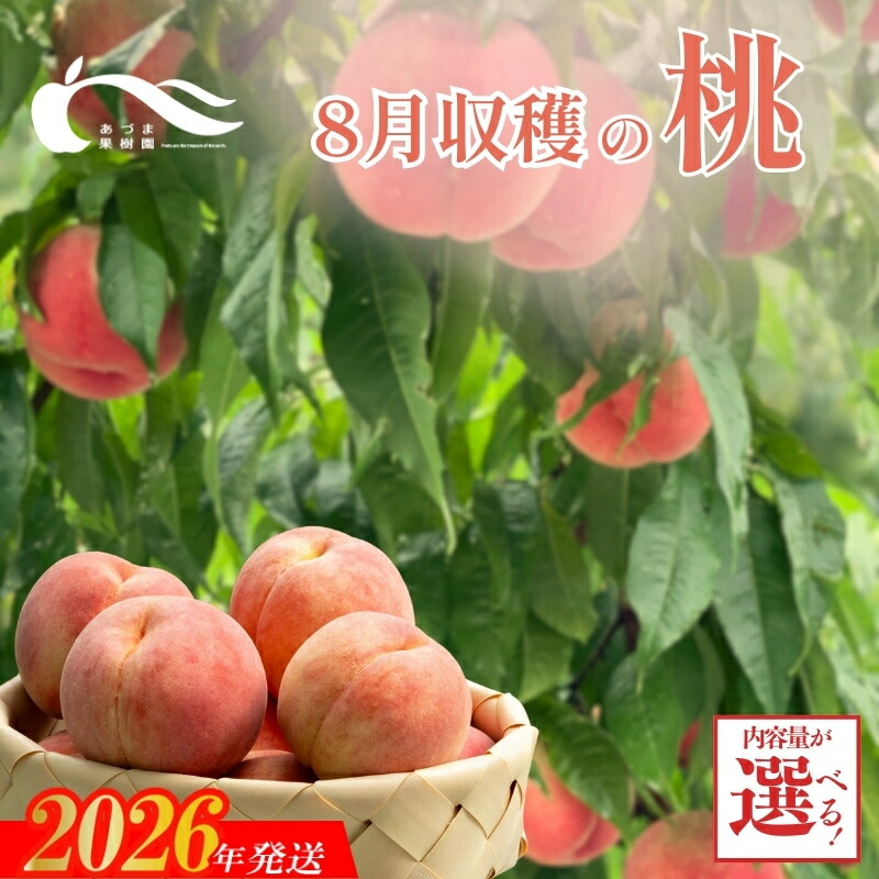 【ふるさと納税】あづま果樹園 もも 8月収穫の桃 品種おまかせ 選べる 容量 約1.2kg 約2kg 約3kg 約5kg 奥あかつき あかつき まどか 川中島白桃 ゆうぞら 紅錦香 紅川中島 夏の陽 黄金桃 一万円【2026年発送】|福島県福島市
