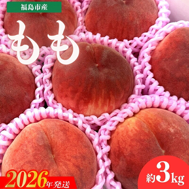 【ふるさと納税】No.3061 道の駅ふくしま 福島市産もも 約3kg(9玉~12玉)【2026年発送】|福島県福島市