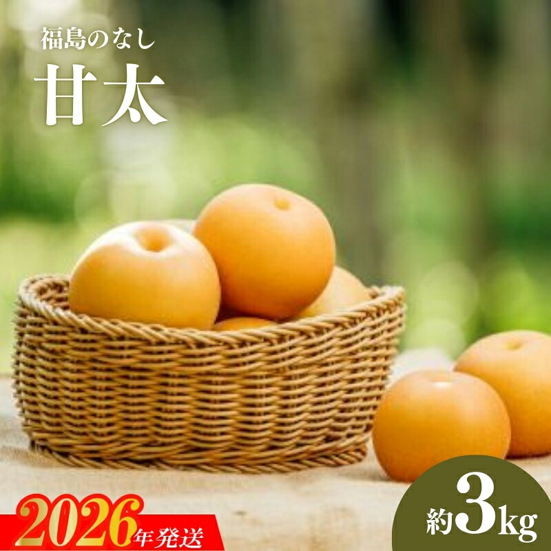 【ふるさと納税】No.3060 宍戸果樹園　旬の特選梨（甘太3kg）【2026年発送　先行予約】