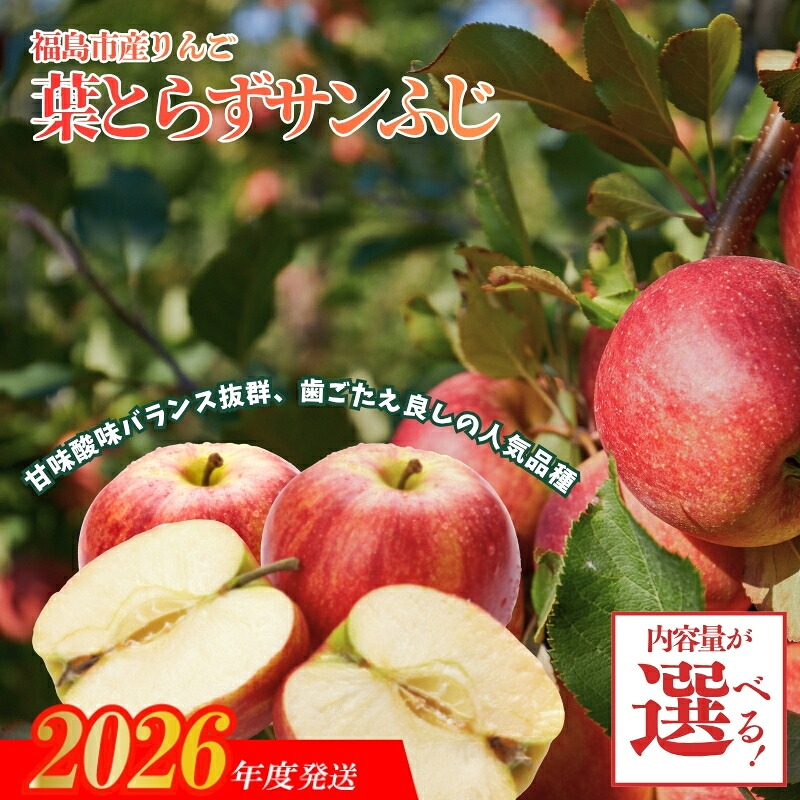 【ふるさと納税】ふくしまのりんご 葉取らずサンふじ 贈答用　選べる 約2.7kg 約4.7kg【2026年度発送】｜福島県福島市